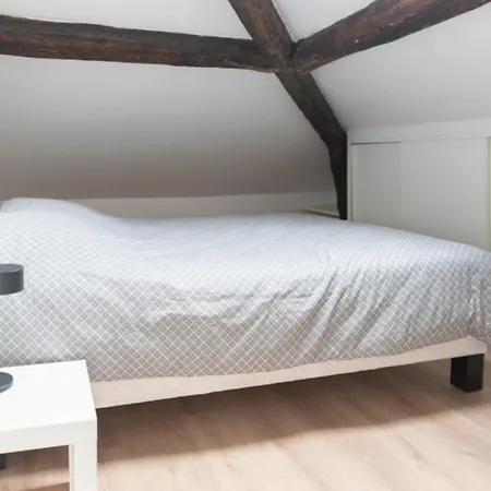 Attic With Exposed Beams Appartamento *