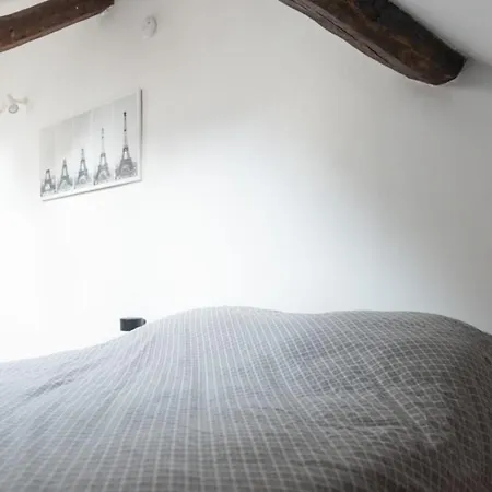 Attic With Exposed Beams Appartamento *